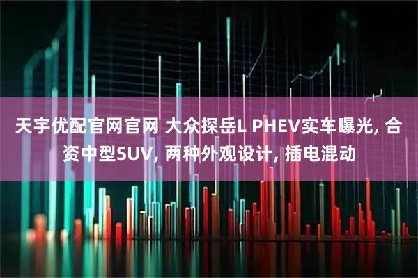 天宇优配官网官网 大众探岳L PHEV实车曝光, 合资中型SUV, 两种外观设计, 插电混动