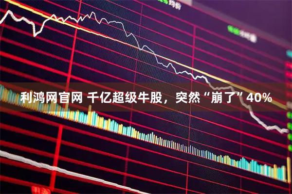 利鸿网官网 千亿超级牛股，突然“崩了”40%