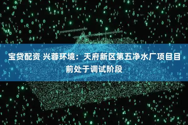 宝贷配资 兴蓉环境：天府新区第五净水厂项目目前处于调试阶段