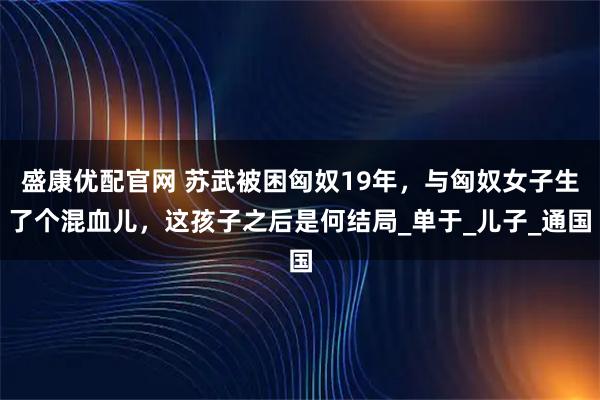 盛康优配官网 苏武被困匈奴19年，与匈奴女子生了个混血儿，这孩子之后是何结局_单于_儿子_通国