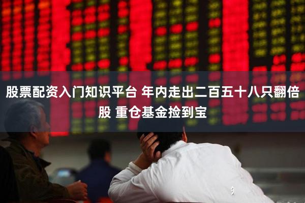 股票配资入门知识平台 年内走出二百五十八只翻倍股 重仓基金捡到宝